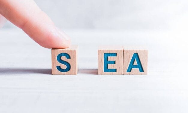 En quoi consiste le SEA ?