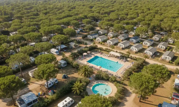Gestion d’un camping en France&nbsp;: simulateur de rentabilité